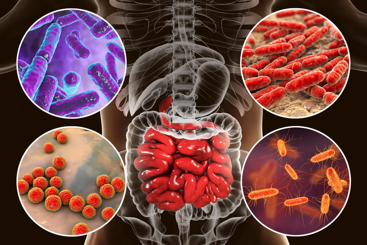 Test de Microbiota y Análisis Clínicos