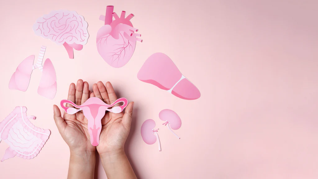 Nutrición para la menopausia y salud hormonal femenina — Dra. Nadya Radoslavova